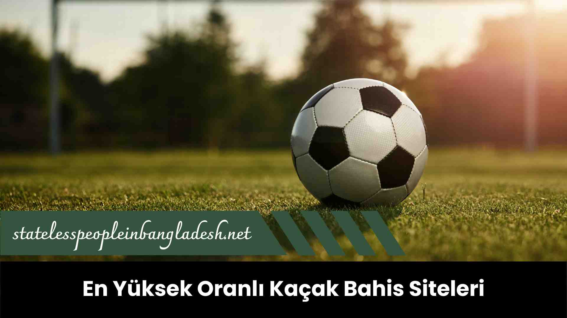 En Yüksek Oranlı Kaçak Bahis Siteleri